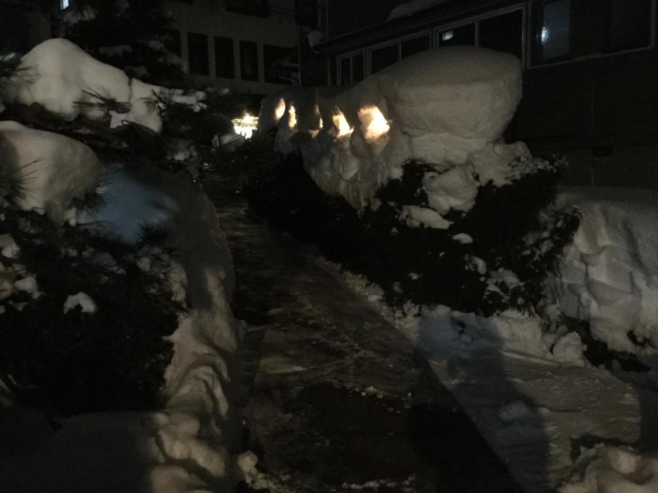 Tobei Hotell Nozawaonsen Exteriör bild